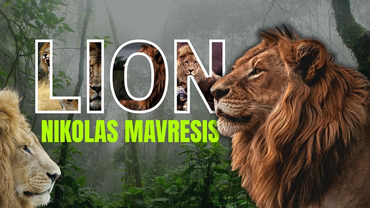 Lion by Nikolas Mavresis 影片下載